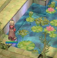 中の人は水盤が好き。